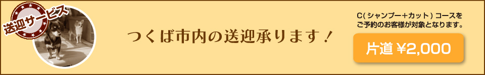 つくば市内の送迎承ります！